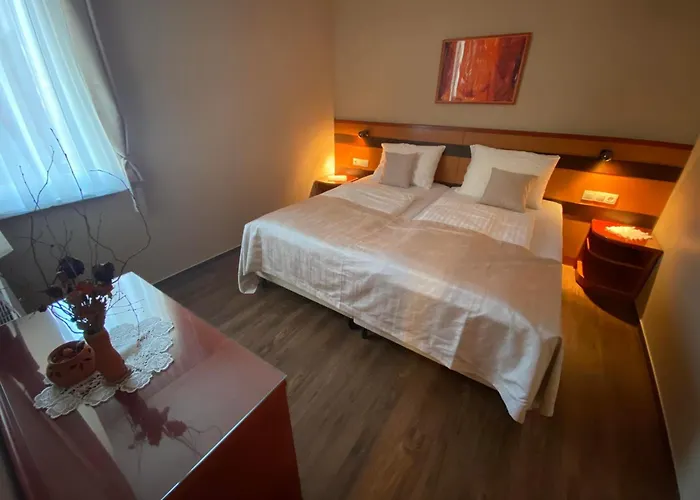 Udoben Apartma V Moravskih Toplicah